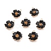 Alloy Enamel Pendants X-ENAM-E361-01KCG-02-1