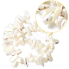 1 Strand Dyed Natural Trochus Shell Beads Strands SSHEL-PA0001-01B-7