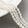 Natural Cultured Freshwater Pearl Beads Strands PEAR-P062-03B-1