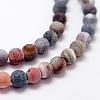Frosted Natural Weathered Agate Beads Strands G-F367-6mm-07-3