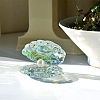 Glass Display Decorations PW-WG77682-01-5