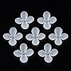 Transparent Acrylic Beads FACR-N005-003-1