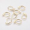 304 Stainless Steel Leverback Earring Findings STAS-F141-03G-1
