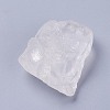 Natural Quartz Crystal Beads G-F621-22-2