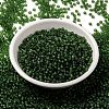 MIYUKI Round Rocailles Beads X-SEED-G008-RR0158F-2
