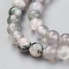 Natural Tree Agate Beads Strands G-I199-03-6mm-5