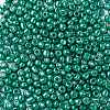 6/0 Glass Seed Beads SEED-A017-4mm-1118-2