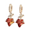 Light Gold Brass Micro Pave Cubic Zirconia Hoop Earrings EJEW-Q800-54KCG-2