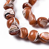 Natural Trochid Shell/Trochus Shell Beads Strands SSHEL-N032-48-A07-3
