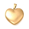 304 Stainless Steel Pendants STAS-H200-01G-15-1