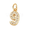 Brass Micro Pave Clear Cubic Zirconia Charms KK-G544-04G-09-1