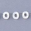Natural Sea Shell Beads SHEL-T012-60O-1