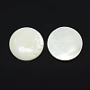 Half Round/Dome Freshwater Shell Cabochon X-PBB236Y-1
