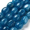 Natural Malaysia Jade Beads Strands G-P528-N08-01-2