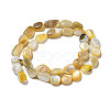 Natural Yellow Shell Beads Strands SSHEL-H072-08-2