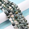 Natural Tree Agate Beads Strands G-K194-10mm-02-7