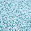 6/0 Glass Seed Beads SEED-T005-14-B19-3