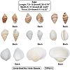 Natural Conch Shell Beads SSHEL-FH0001-05-2