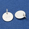 6Pcs 925 Sterling Silver Charms STER-BC0001-64-2