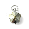 16Pcs 8 Colors Glass Charms PALLOY-JF03194-2