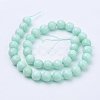 Natural Malaysia Jade Bead Strands G-F488-8mm-22-2