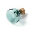 Miniature Glass Bottles GLAA-H019-04H-2