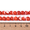 Natural Trochus Shell Mother of Pearl Shell Beads Strands X-SSHEL-T012-06-4