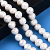 Natural Cultured Freshwater Pearl Beads Strands PEAR-N013-10D-2