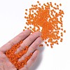 6/0 Glass Seed Beads SEED-A008-4mm-M9-4