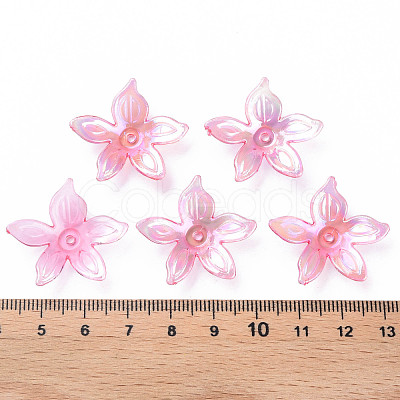 Transparent Acrylic Beads MACR-S373-102-C01-1