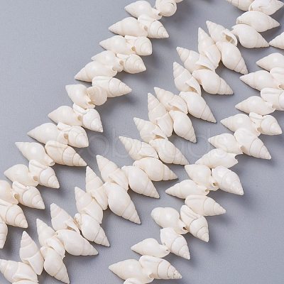 Natural Spiral Shell Beads Strands BSHE-I016-07-1