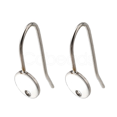 304 Stainless Steel Earring Hooks STAS-B087-09A-P-1