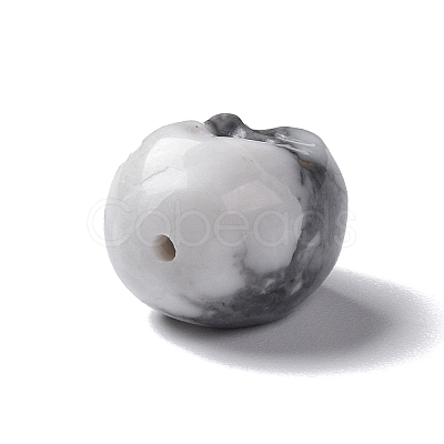 Natural Howlite Beads G-I352-06-1