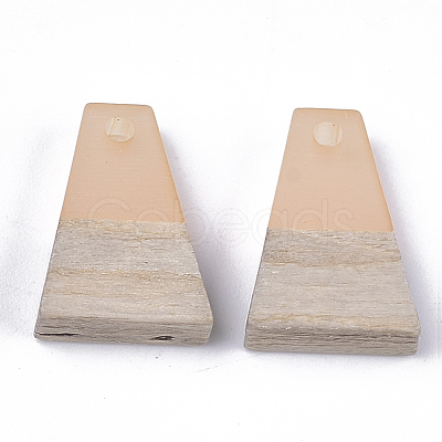 Resin & Wood Pendants RESI-S358-52E-1