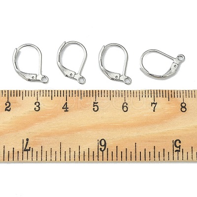 Tarnish Resistant 304 Stainless Steel Leverback Earring Findings X-STAS-S028-07-1