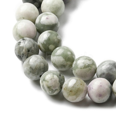 Natural Peace Jade Beads Strands G-E598-04B-1