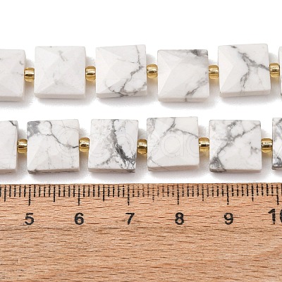 Natural Howlite Beads Strands G-F839-A35-01-1