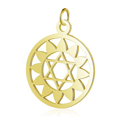 304 Stainless Steel Pendants STAS-S105-T528G-1