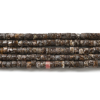 Natural Snowflake Obsidian Beads Strands G-E612-A07-1