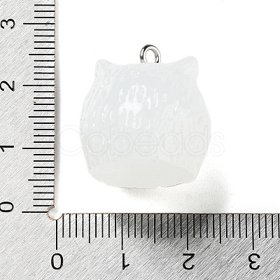 Translucent Resin Pendants RESI-R445-01B-1