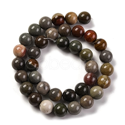 Natural Picture Jasper Beads Strands G-H037-A01-03-1