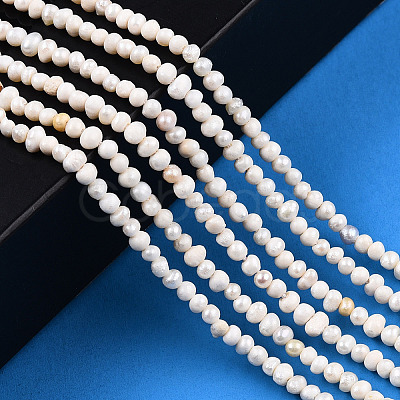 Natural Cultured Freshwater Pearl Beads Strands PEAR-N013-02G-1