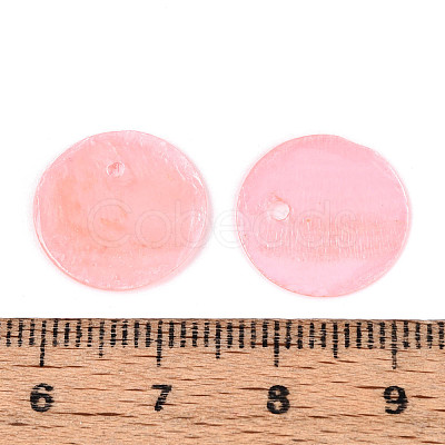 Spray Painted Natural Capiz Shell Disc Charms X1-BSHE-T014-02A-1