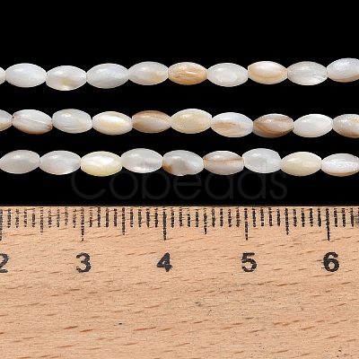 Natural Freshwater Shell Beads Strands SHEL-C010-03A-1