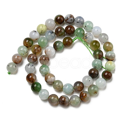 Natural Serpentine Beads Strands G-R494-A03-03-1