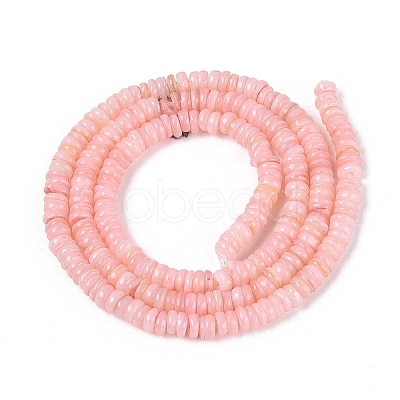 Natural Freshwater Shell Beads Strands SHEL-Q028-01D-1