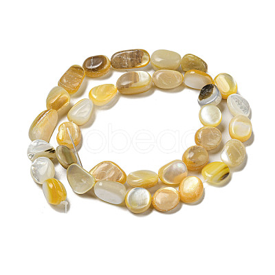 Natural Yellow Shell Beads Strands SSHEL-H072-08-1
