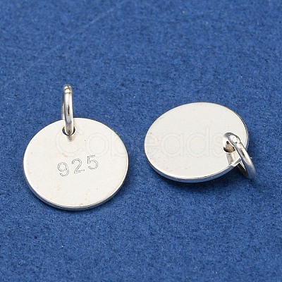 6Pcs 925 Sterling Silver Charms STER-BC0001-64-1