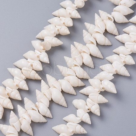 Natural Spiral Shell Beads Strands BSHE-I016-07-1