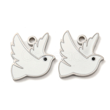 316 Surgical Stainless Steel Charms STAS-G325-06P-1